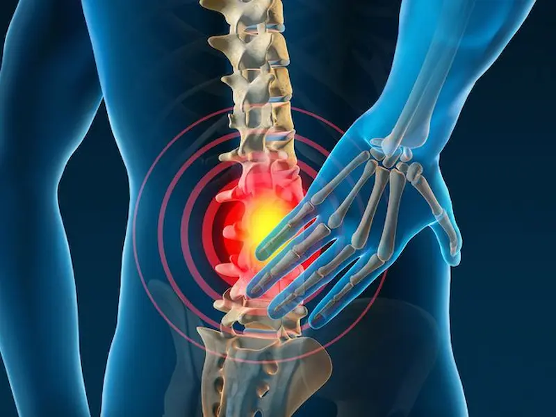 Orthopedic Spine Specialist